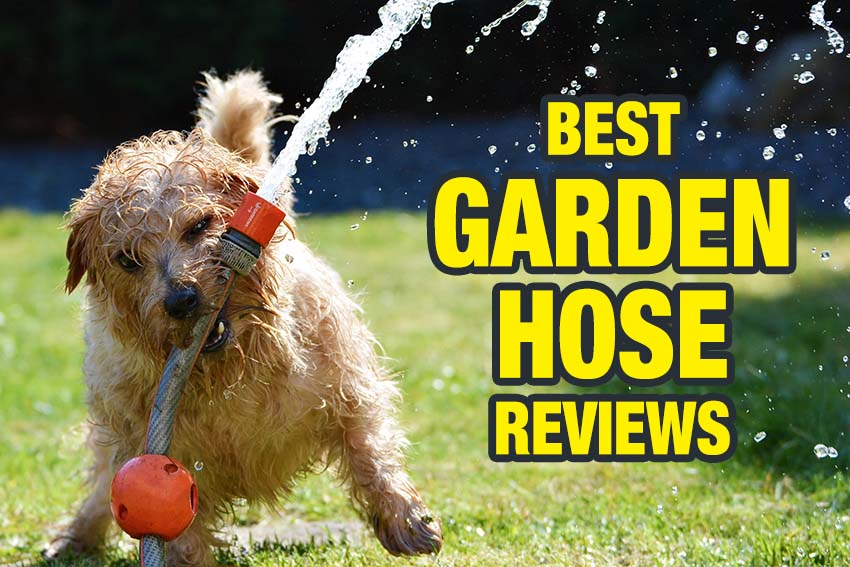 Best Garden Hose Reviews